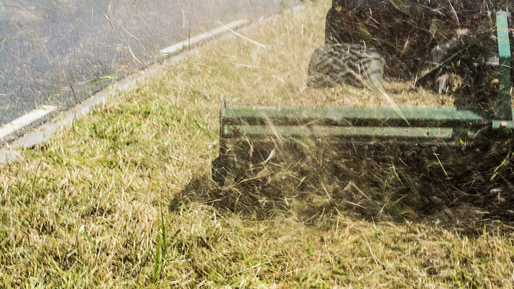 Lastniki zemljišč morajo sami skrbeti, da se vegetacija ne razrase preveč bujno.